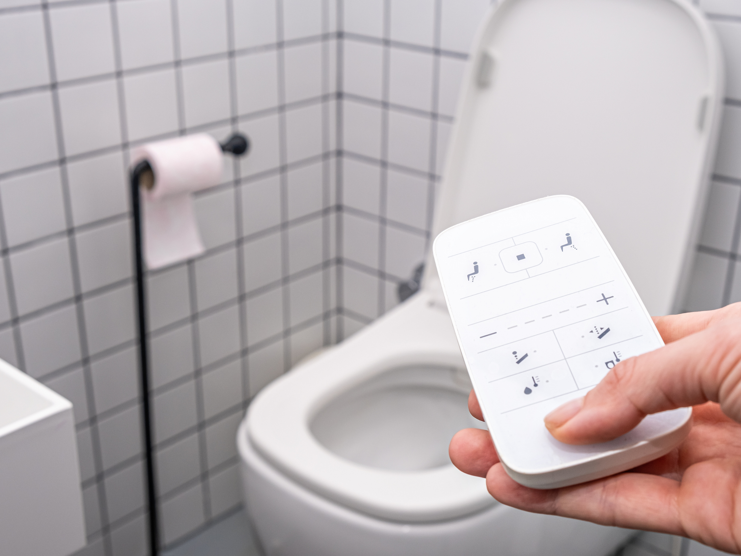 Smart Toilet Installations
